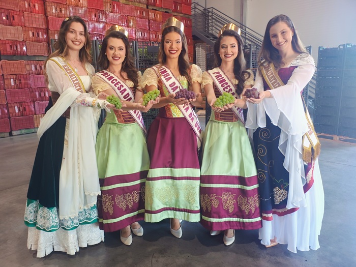 primeiras uvas bx-1770557951.jpg